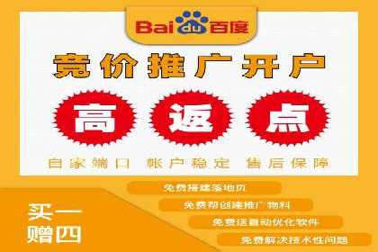 竞价广告与自然搜索的结合策略：XX网站的案例分析